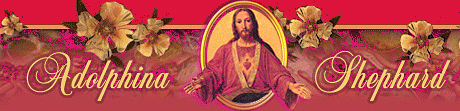 Header Graphic